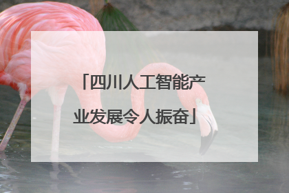 四川人工智能产业发展令人振奋
