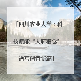 四川农业大学：科技赋能“天府粮仓”谱写稻香新篇