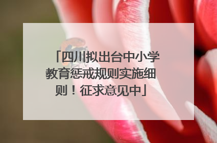 四川拟出台中小学教育惩戒规则实施细则！征求意见中