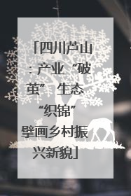 四川芦山：产业“破茧” 生态“织锦” 擘画乡村振兴新貌
