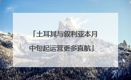 土耳其与叙利亚本月中旬起运营更多直航