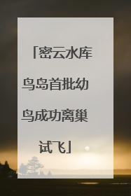 密云水库鸟岛首批幼鸟成功离巢试飞