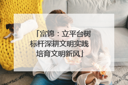 富锦：立平台树标杆深耕文明实践培育文明新风