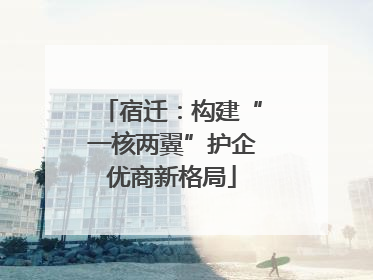 宿迁：构建“一核两翼”护企优商新格局