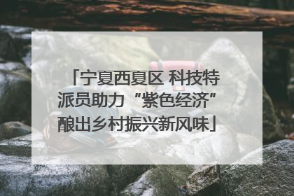 宁夏西夏区 科技特派员助力“紫色经济”酿出乡村振兴新风味