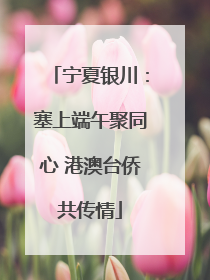 宁夏银川：塞上端午聚同心 港澳台侨共传情