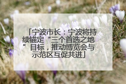 宁波市长：宁波将持续锚定“三个首选之地”目标，推动博览会与示范区互促共进