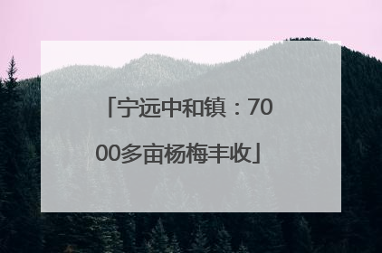 宁远中和镇：7000多亩杨梅丰收