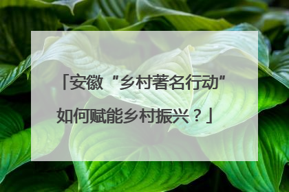 安徽“乡村著名行动”如何赋能乡村振兴？