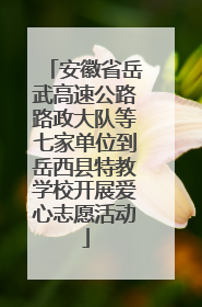 安徽省岳武高速公路路政大队等七家单位到岳西县特教学校开展爱心志愿活动