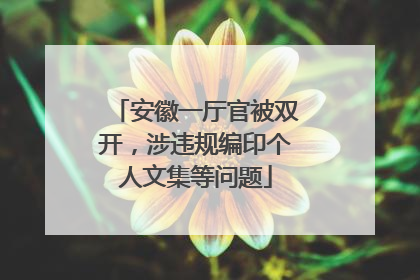 安徽一厅官被双开，涉违规编印个人文集等问题