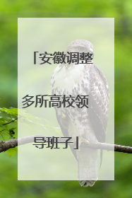 安徽调整多所高校领导班子