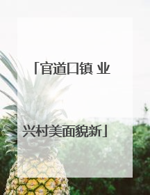 官道口镇 业兴村美面貌新