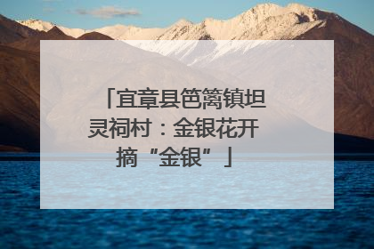 宜章县笆篱镇坦灵祠村：金银花开摘“金银”