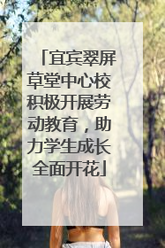 宜宾翠屏草堂中心校积极开展劳动教育，助力学生成长全面开花