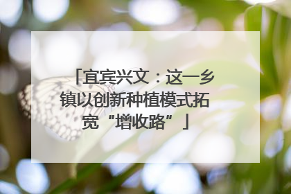 宜宾兴文：这一乡镇以创新种植模式拓宽“增收路”