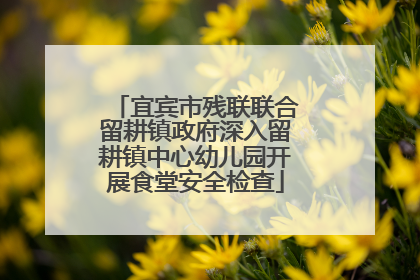 宜宾市残联联合留耕镇政府深入留耕镇中心幼儿园开展食堂安全检查