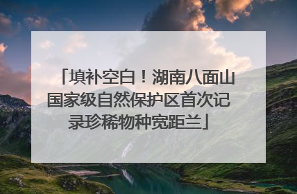 填补空白！湖南八面山国家级自然保护区首次记录珍稀物种宽距兰