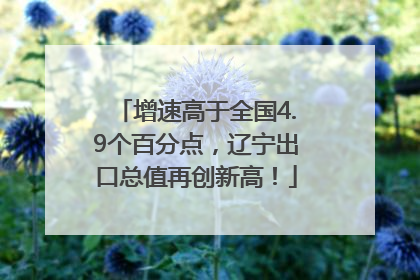 增速高于全国4.9个百分点，辽宁出口总值再创新高！