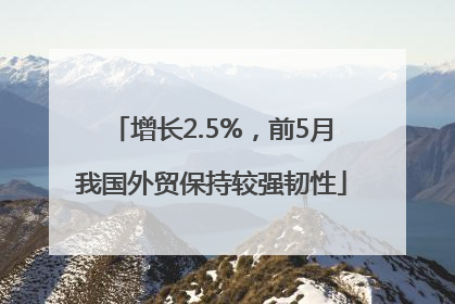 增长2.5%，前5月我国外贸保持较强韧性