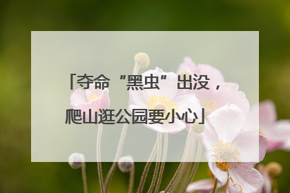 夺命“黑虫”出没，爬山逛公园要小心