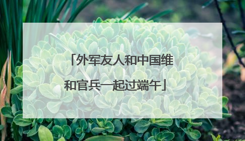 外军友人和中国维和官兵一起过端午