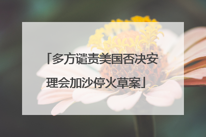 多方谴责美国否决安理会加沙停火草案