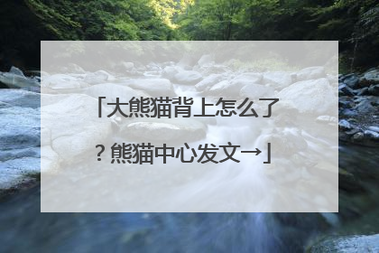 大熊猫背上怎么了？熊猫中心发文→