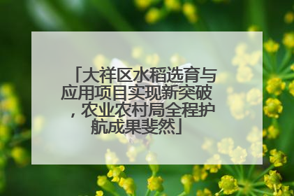 大祥区水稻选育与应用项目实现新突破，农业农村局全程护航成果斐然