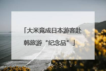 大米竟成日本游客赴韩旅游“纪念品”