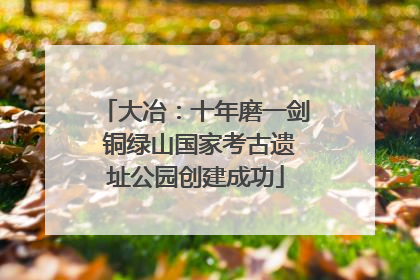 大冶：十年磨一剑 铜绿山国家考古遗址公园创建成功