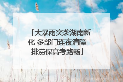 大暴雨突袭湖南新化 多部门连夜清障排涝保高考路畅