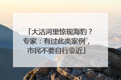 大沽河里惊现海豹？专家：有过此类案例，市民不要自行靠近