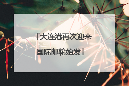 大连港再次迎来国际邮轮始发