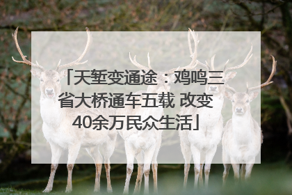 天堑变通途：鸡鸣三省大桥通车五载 改变40余万民众生活