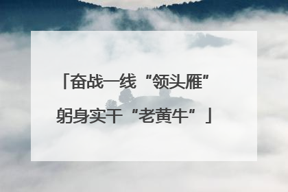 奋战一线“领头雁” 躬身实干“老黄牛”
