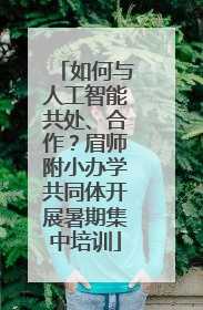 如何与人工智能共处、合作？眉师附小办学共同体开展暑期集中培训