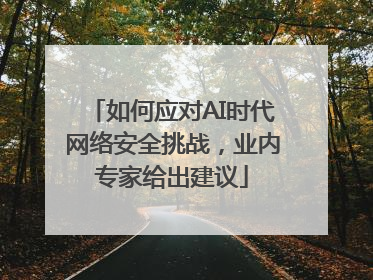如何应对AI时代网络安全挑战，业内专家给出建议