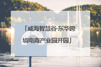 威海智慧谷·东华跨境电商产业园开园