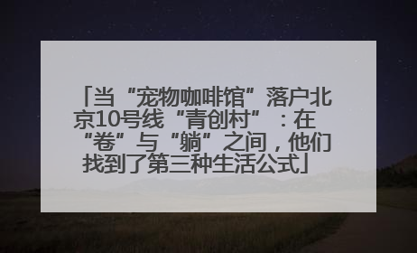当“宠物咖啡馆”落户北京10号线“青创村”：在“卷”与“躺”之间，他们找到了第三种生活公式