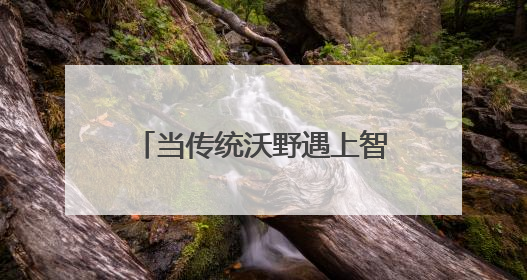当传统沃野遇上智能浪潮，新质生产力加速破茧成蝶