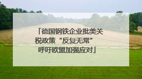 德国钢铁企业批美关税政策“反复无常” 呼吁欧盟加强应对