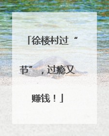 徐楼村过“节”，过瘾又赚钱！