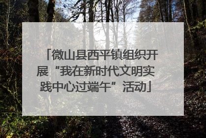 微山县西平镇组织开展“我在新时代文明实践中心过端午”活动