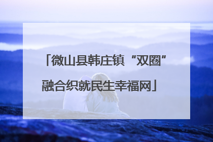 微山县韩庄镇“双圈”融合织就民生幸福网