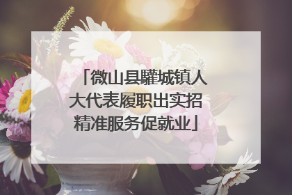 微山县驩城镇人大代表履职出实招精准服务促就业