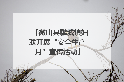 微山县驩城镇妇联开展“安全生产月”宣传活动