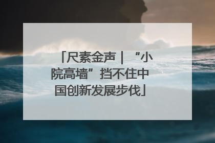 尺素金声｜“小院高墙”挡不住中国创新发展步伐