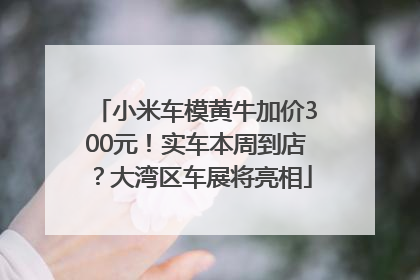 小米车模黄牛加价300元！实车本周到店？大湾区车展将亮相