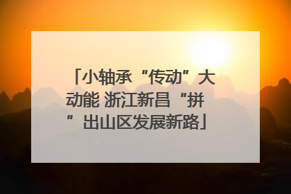 小轴承“传动”大动能 浙江新昌“拼”出山区发展新路